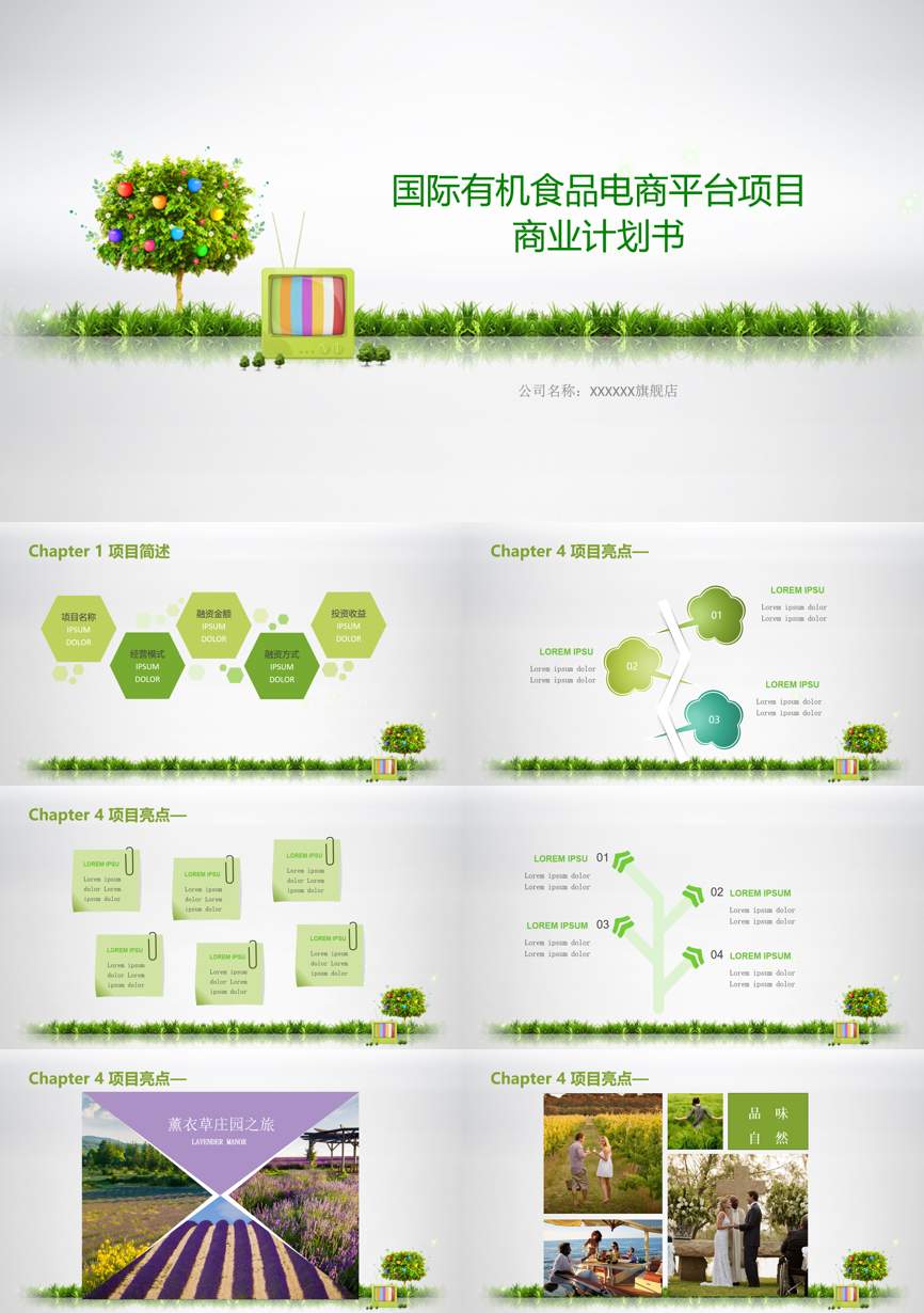 创业融资策划 (40)商业计划书PPT模板